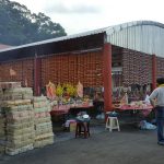 2016丙申年中元普渡法會_3937